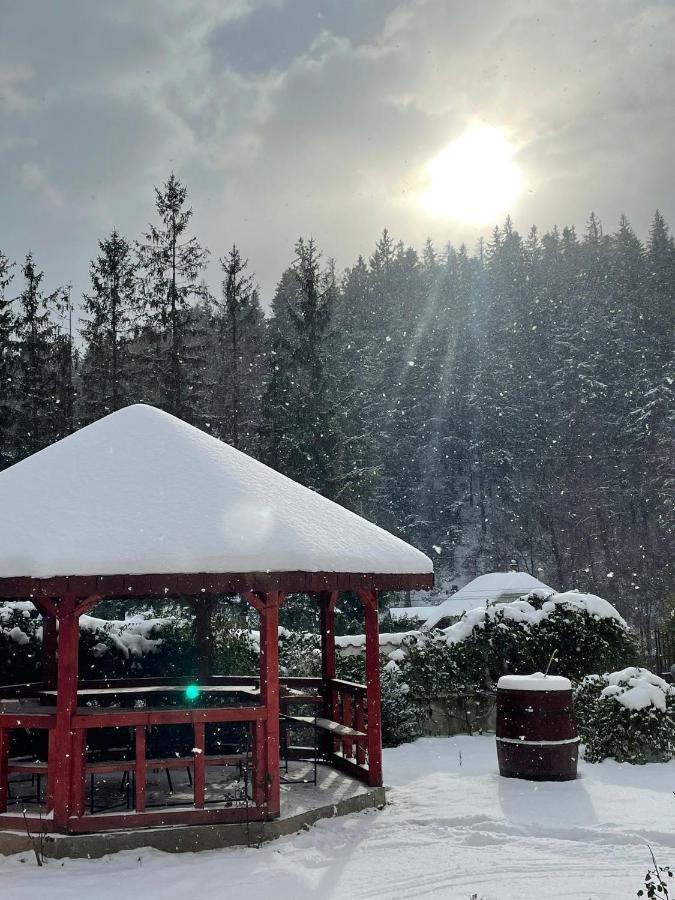 Pensiunea Elena Soveja Luaran gambar